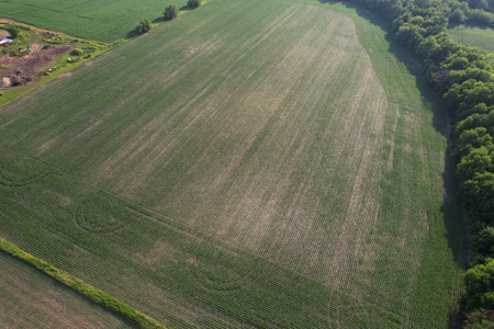Dallas County Iowa Farmland Auction - image 6