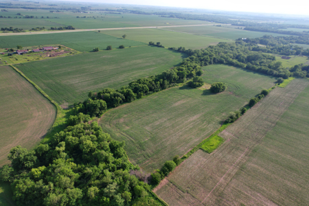 Dallas County Iowa Farmland Auction - image 3