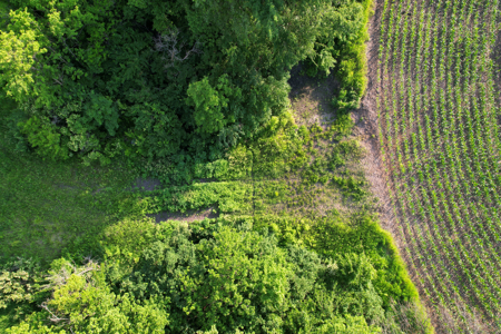 Dallas County Iowa Farmland Auction - image 17