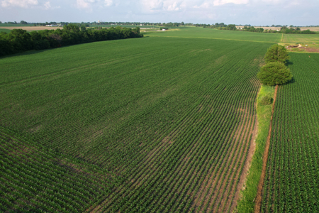 Dallas County Iowa Farmland Auction - image 19