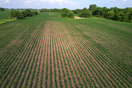 Dallas County Iowa Farmland Auction - image 29