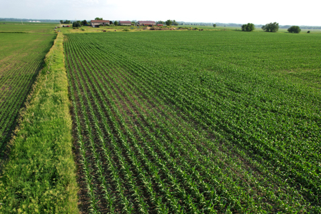 Dallas County Iowa Farmland Auction - image 9