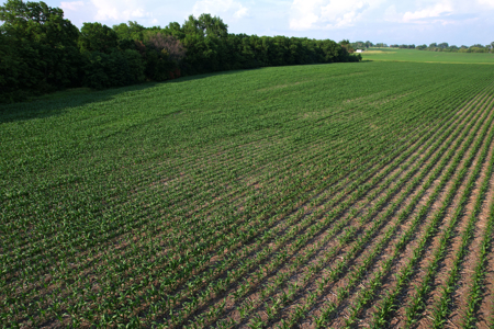 Dallas County Iowa Farmland Auction - image 30