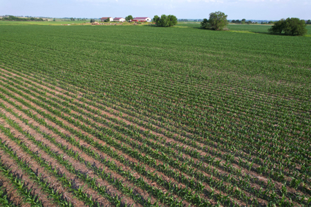 Dallas County Iowa Farmland Auction - image 21