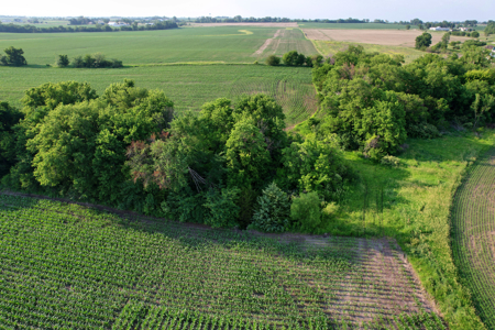 Dallas County Iowa Farmland Auction - image 26