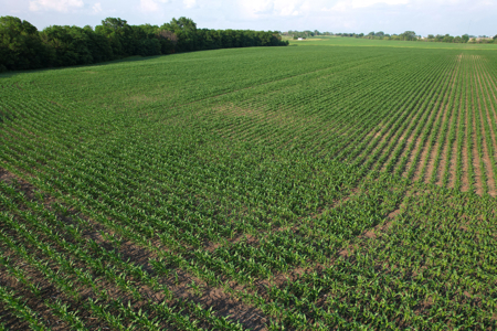 Dallas County Iowa Farmland Auction - image 22