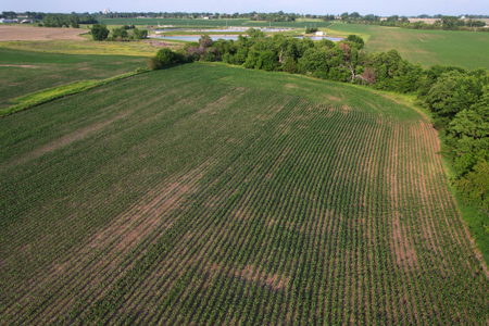Dallas County Iowa Farmland Auction - image 24