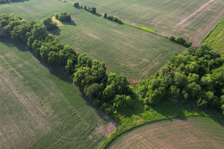 Dallas County Iowa Farmland Auction - image 14