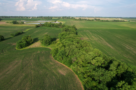 Dallas County Iowa Farmland Auction - image 8