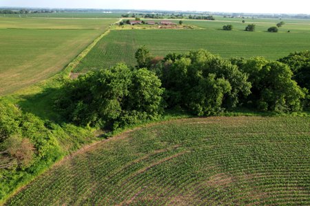 Dallas County Iowa Farmland Auction - image 13