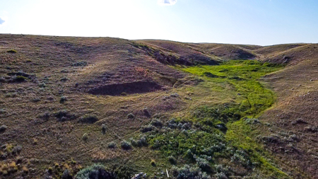 Norman Mavencamp Ranch– 2,600+ Acres Well-Managed Pasture - image 46