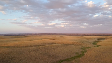 Norman Mavencamp Ranch– 2,600+ Acres Well-Managed Pasture - image 13