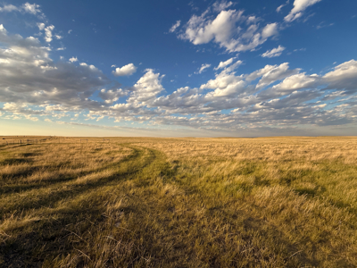 Norman Mavencamp Ranch– 2,600+ Acres Well-Managed Pasture - image 10