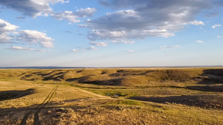 Norman Mavencamp Ranch– 2,600+ Acres Well-Managed Pasture - image 9
