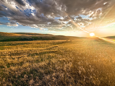 Norman Mavencamp Ranch– 2,600+ Acres Well-Managed Pasture - image 8