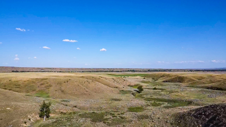Norman Mavencamp Ranch– 2,600+ Acres Well-Managed Pasture - image 19