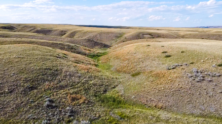 Norman Mavencamp Ranch– 2,600+ Acres Well-Managed Pasture - image 32