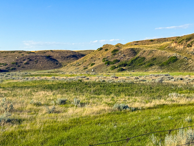 Norman Mavencamp Ranch– 2,600+ Acres Well-Managed Pasture - image 50