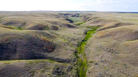 Norman Mavencamp Ranch– 2,600+ Acres Well-Managed Pasture - image 22