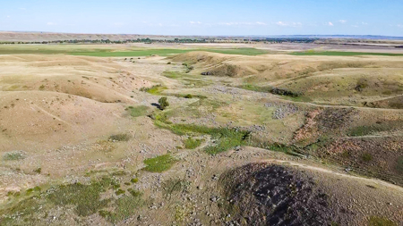 Norman Mavencamp Ranch– 2,600+ Acres Well-Managed Pasture - image 43