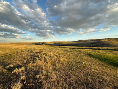 Norman Mavencamp Ranch– 2,600+ Acres Well-Managed Pasture - image 14