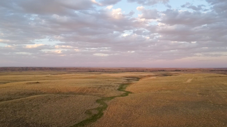 Norman Mavencamp Ranch– 2,600+ Acres Well-Managed Pasture - image 2