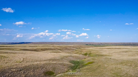 Norman Mavencamp Ranch– 2,600+ Acres Well-Managed Pasture - image 40