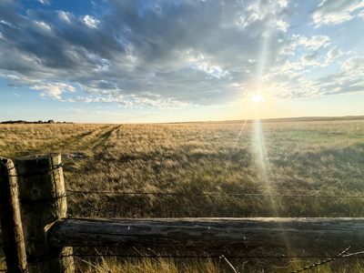 Norman Mavencamp Ranch– 2,600+ Acres Well-Managed Pasture - image 11