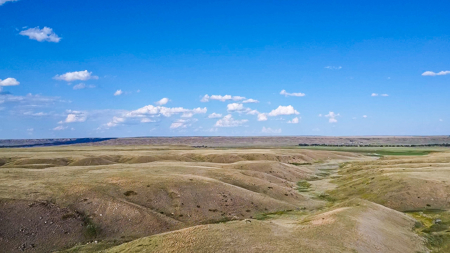Norman Mavencamp Ranch– 2,600+ Acres Well-Managed Pasture - image 41