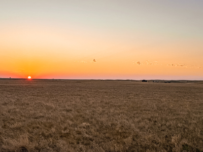Norman Mavencamp Ranch– 2,600+ Acres Well-Managed Pasture - image 6