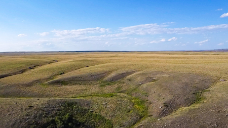 Norman Mavencamp Ranch– 2,600+ Acres Well-Managed Pasture - image 38