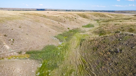 Norman Mavencamp Ranch– 2,600+ Acres Well-Managed Pasture - image 24