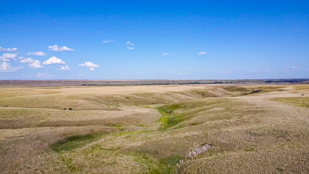 Norman Mavencamp Ranch– 2,600+ Acres Well-Managed Pasture - image 36
