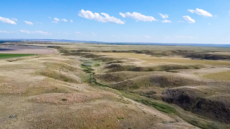 Norman Mavencamp Ranch– 2,600+ Acres Well-Managed Pasture - image 28