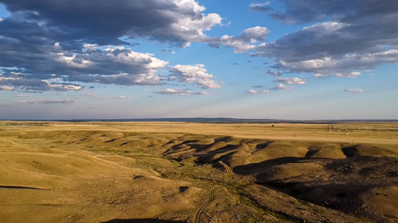 Norman Mavencamp Ranch– 2,600+ Acres Well-Managed Pasture - image 15