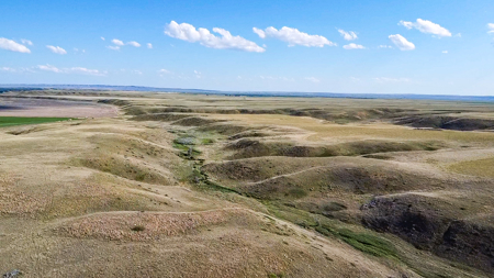Norman Mavencamp Ranch– 2,600+ Acres Well-Managed Pasture - image 25