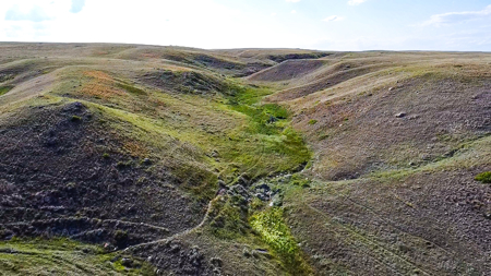 Norman Mavencamp Ranch– 2,600+ Acres Well-Managed Pasture - image 27