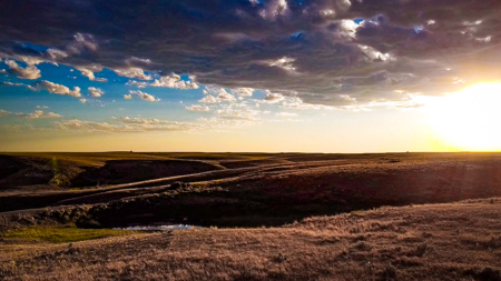 Norman Mavencamp Ranch– 2,600+ Acres Well-Managed Pasture - image 17