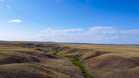 Norman Mavencamp Ranch– 2,600+ Acres Well-Managed Pasture - image 42