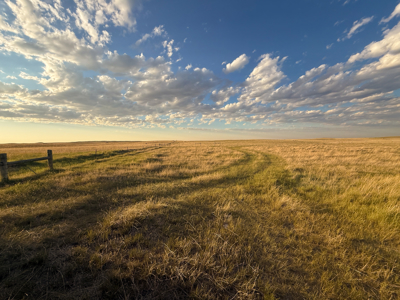 Norman Mavencamp Ranch– 2,600+ Acres Well-Managed Pasture - image 16
