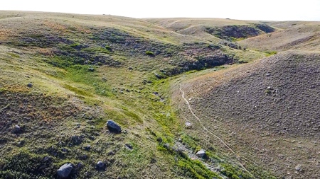 Norman Mavencamp Ranch– 2,600+ Acres Well-Managed Pasture - image 33