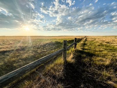 Norman Mavencamp Ranch– 2,600+ Acres Well-Managed Pasture - image 3
