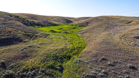 Norman Mavencamp Ranch– 2,600+ Acres Well-Managed Pasture - image 45