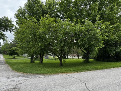 Land Auction Opportunity — Mitchell, Indiana - image 2