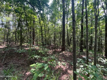 Listing 237