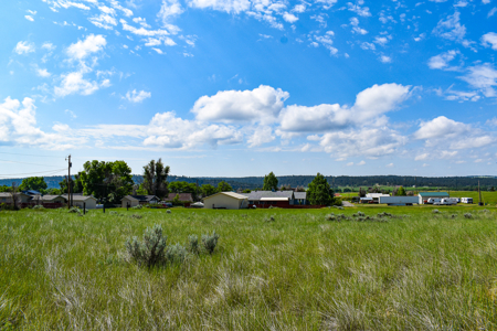 2 City Lots in Roundup, Montana 0.308 Acres - image 6