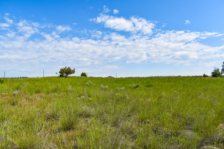 2 City Lots in Roundup, Montana 0.308 Acres - image 8