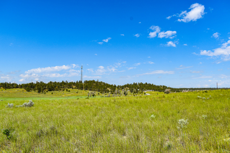 2 City Lots in Roundup, Montana 0.308 Acres - image 1