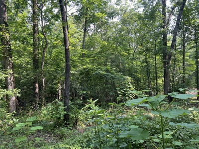 Recreational Property near Wappapello Lake - image 6