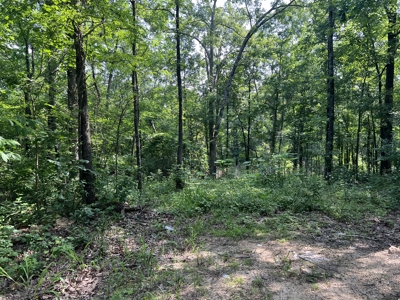 Recreational Property near Wappapello Lake - image 7